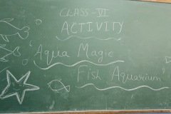 Aqua-Magic-at-RK-Modern-School-2