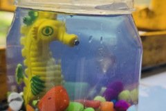 Aqua-Magic-at-RK-Modern-School-5