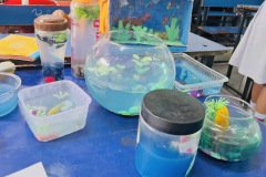 Aqua-Magic-at-RK-Modern-School-6