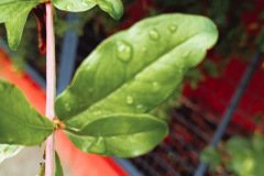 Artsy-Photography-Club-2025-11