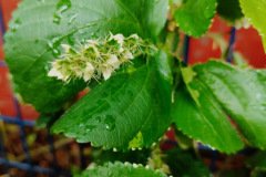 Artsy-Photography-Club-2025-12