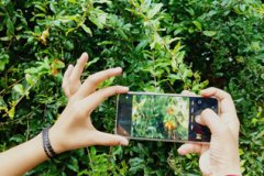 Artsy-Photography-Club-2025-3