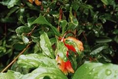 Artsy-Photography-Club-2025-5