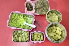 Earth-Day-Celebration_-14