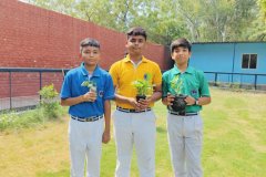 Plantation-Drive-1