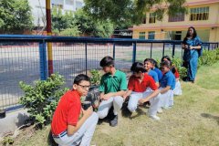 Plantation-Drive-10