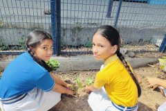 Plantation-Drive-11