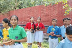 Plantation-Drive-12