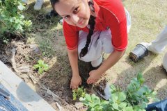 Plantation-Drive-6