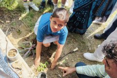 Plantation-Drive-7