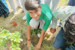 Plantation-Drive-8