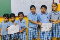 Pre-Number Concept Game activity