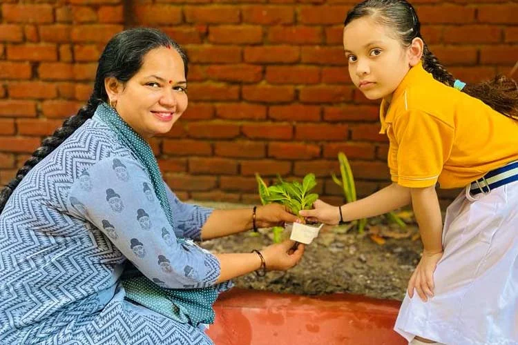 plantation-drive-4