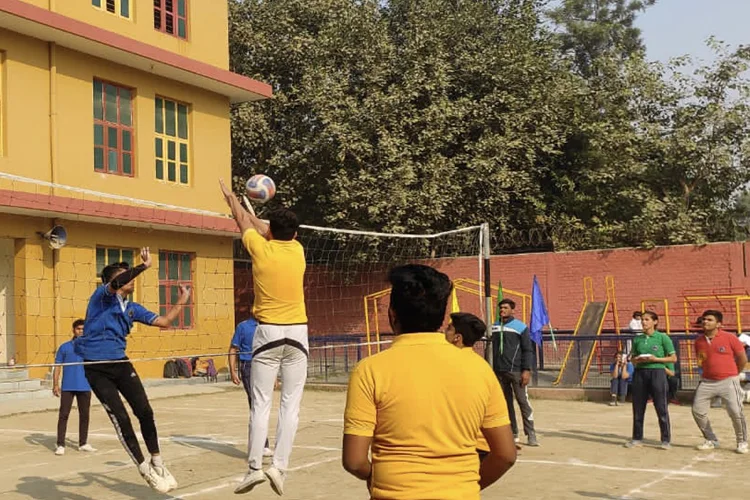 volleyball