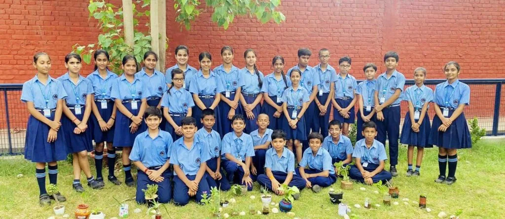 plantation_activity